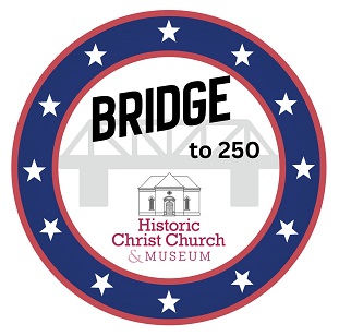 bridge 250 navy circle small